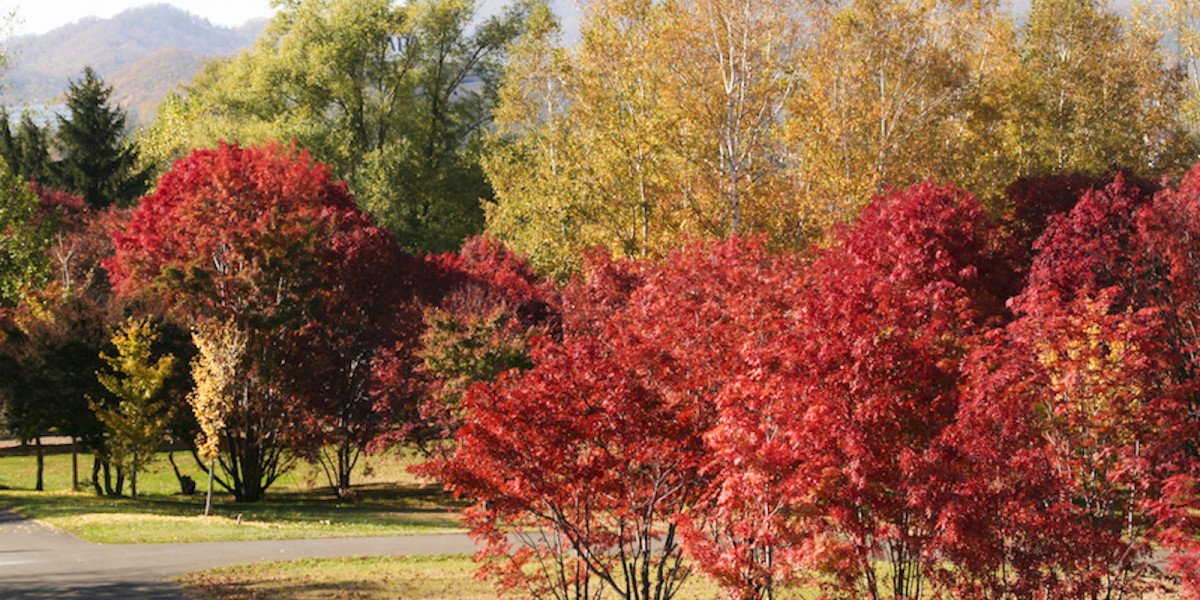 🏞️ 홋카이도립 마코마나이 공원 (北海道立真駒内公園) 이미지 1